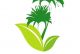 Coopérative Ighirm N Touzlaouite