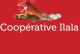 Coopérative Ilala