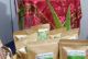 Coopérative Stevia Mocador